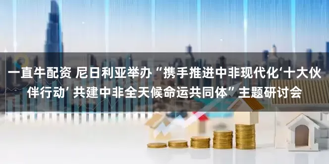 一直牛配资 尼日利亚举办“携手推进中非现代化‘十大伙伴行动’ 共建中非全天候命运共同体”主题研讨会