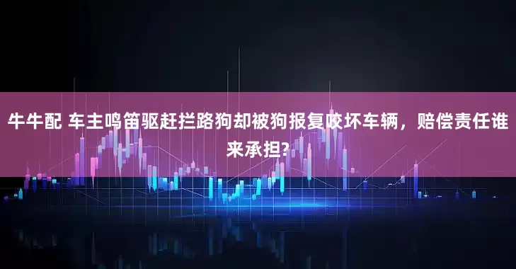 牛牛配 车主鸣笛驱赶拦路狗却被狗报复咬坏车辆，赔偿责任谁来承担?